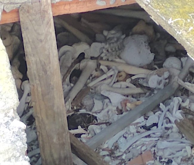 Restos óseos a simple vista en fosas abiertas / Foto Cedida