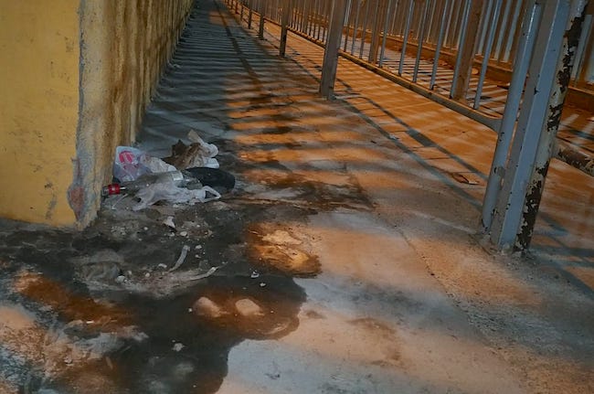 Imagen de una parte del vial público con orines y excrementos / Foto cedida