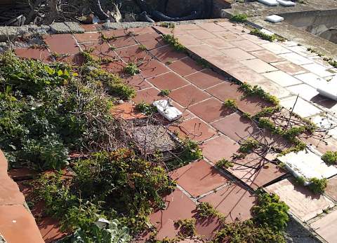 Imagen que muestra el estado de conservación de esta zona de Santa Catalina / Foto Cedida