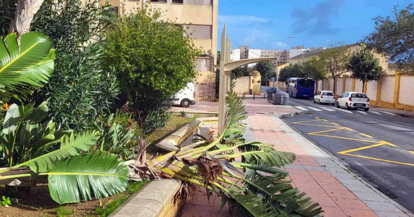 El fuerte viento de este viernes en Ceuta provoca múltiples incidencias, la mayoría por la caída de elementos