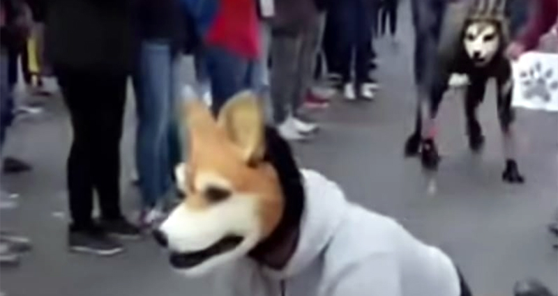 Sentirse o identificarse animal: ¿Ha llegado el fenómeno #therians a Ceuta?