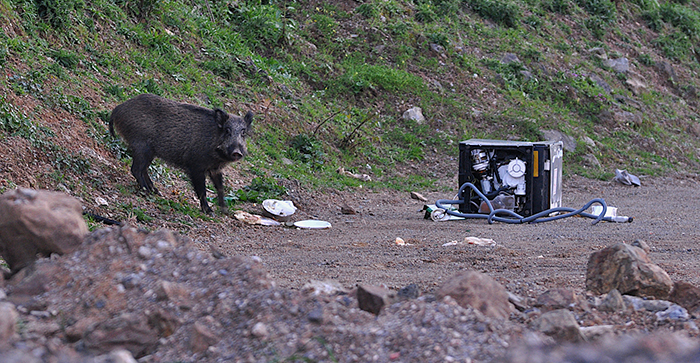 Ceuta 2010. Foto: Fidel Raso