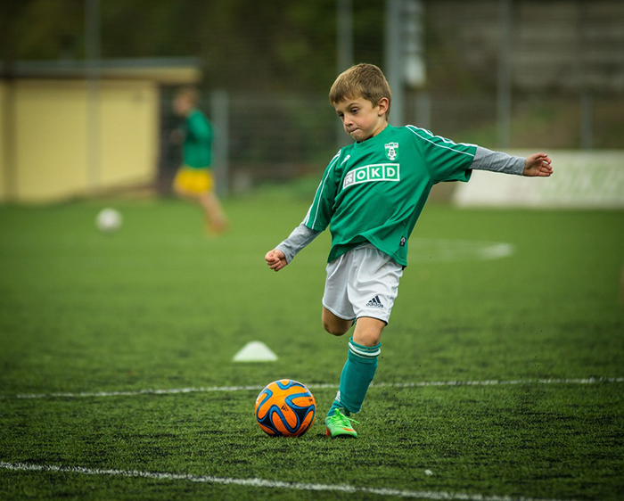Foto: https://pxhere.com/es/photo/757702?utm_content=shareClip&utm_medium=referral&utm_source=pxhere
