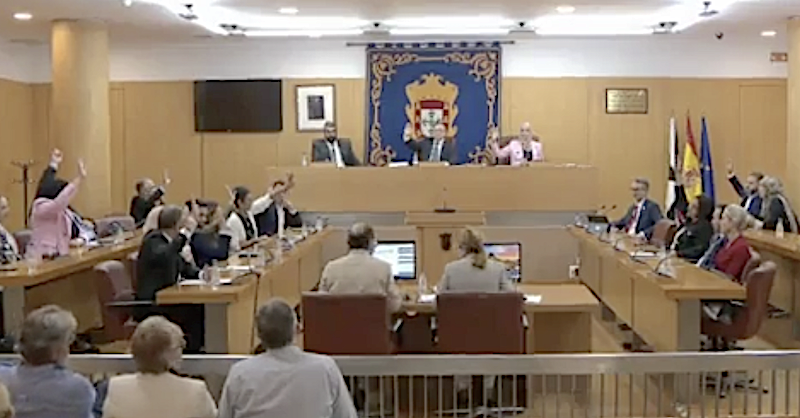 Momento en que los disputados del GP socialista Navil Rahal y Fidda Mustafa levantan la mano junto con el PP en el Pleno de hoy /Reproducción