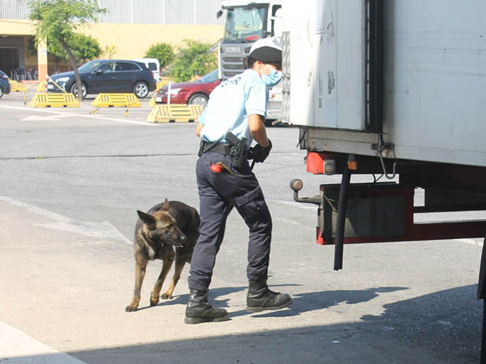 Efectivos del CNP y de la Guardia Nacional República de Portugal haciendo labores de control de camiones con los guías caninos. Foto: Javier Chellaram