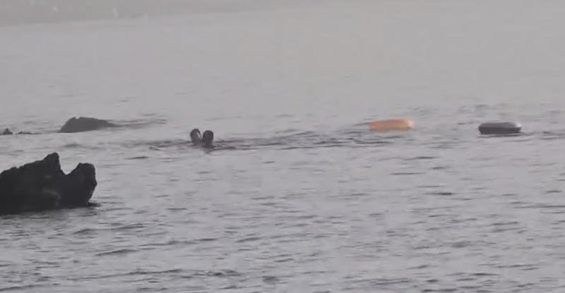 Otras dos llegadas a nado a la Playa de Tarajal esta misma mañana