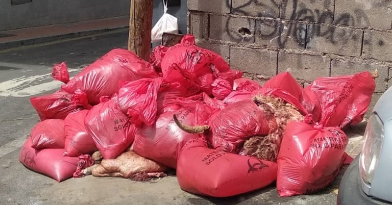 Las mascotas acaban en bolsas como éstas y trasladadas a la península / Archivo