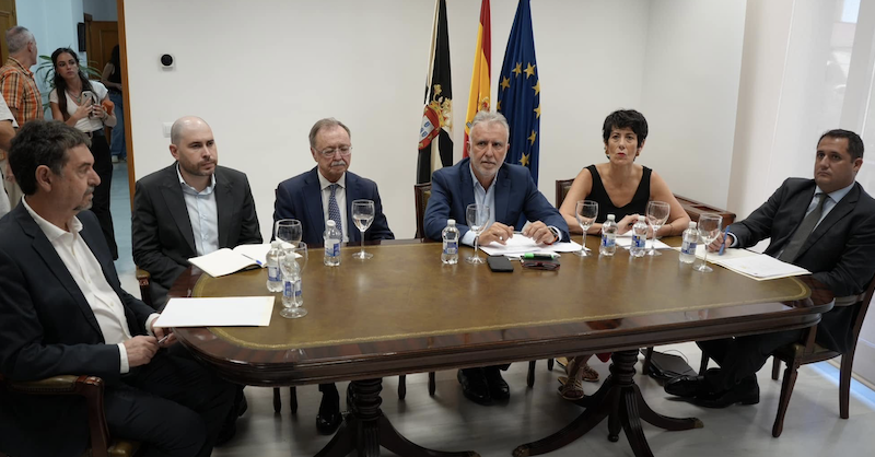 Vivas durante su participaci&oacute;n esta tarde de la primera runi&oacute;n del Mando &Uacute;nico