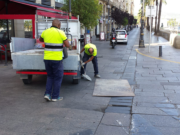 Operarios poniendo plazas sobre el pavimento del Paseo de las Palmeras. Foto: Javier Chellaram