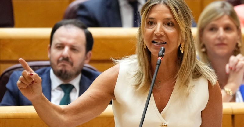 Alicia Díaz, portavoz del Grupo Popular en el Senado / Archivo