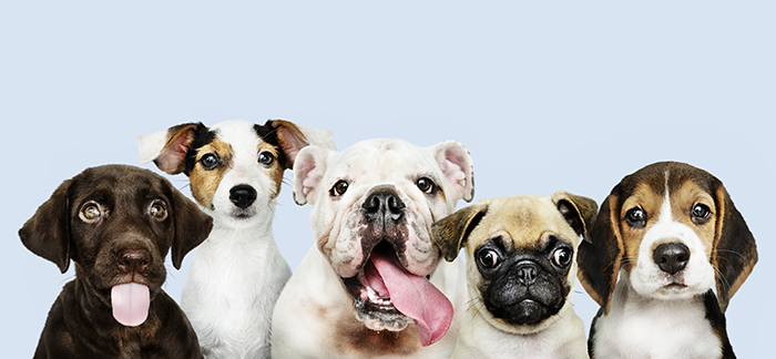 Atribución: Foto de Fondo creado por rawpixel.com - www.freepik.es
